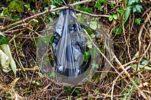 Black dog poo poop bag left in bush.
