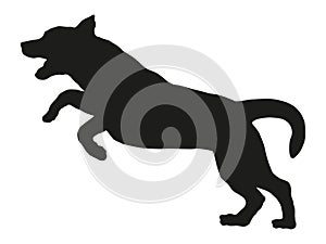 Black dog silhouette. Jumping labrador retriever puppy. Pet animals. Isolated on a white background.