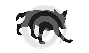 Black dog silhouette. Running german shepherd dog puppy. Isolated on a white background