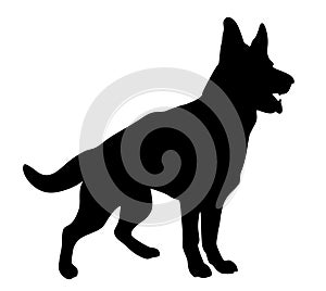 Black dog silhouette on white background