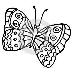 Black doodle decorative ornate butterfly isolated on white background.