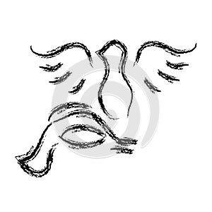 Black doves silhouette on white background