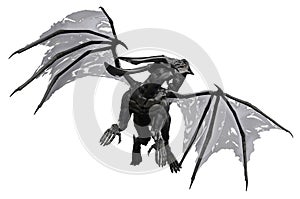 Black dragon in white background