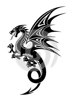 Black dragon photo