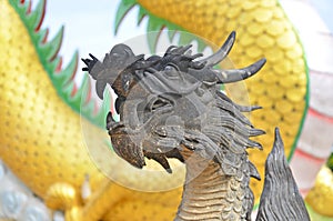 Black dragon sculpture with yellow body background