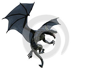 Black dragon in a white background photo