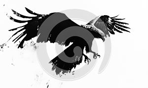 A black eagle is flying in the air