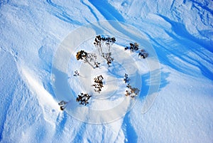 Black earth cowered with white snow, winter landscape detail, natural abstract background, close up