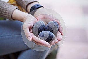 Black egg boilied at Owakudani, Hakone in Japan