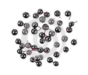 Black elderberry fruit isolated on white background, top view. Elder berries