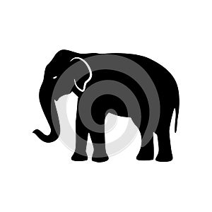 Black elephant silhouette. Vector