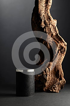 Black empty podium and dried snag on a black background