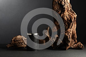 Black empty podium and dried snag on a black background