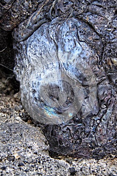 Black eruptive stone with white marks