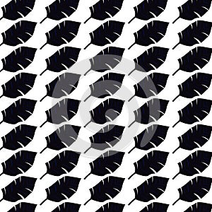 Black Exotic Palm Leaves Pattern Texture Wallart