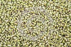 Black eye pea, or Feijao de Corda in Portuguese, in bulk photo