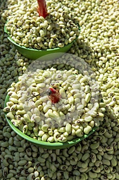 Black eye pea photo