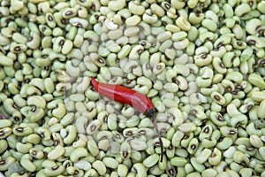 Black eye pea photo