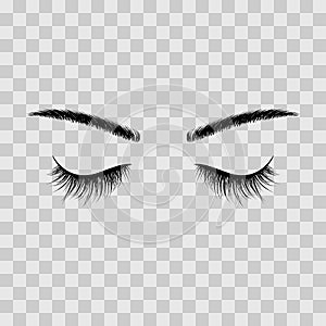 Black eyebrows and eyelashes eyes closed. Advertising false eyelashes. Vector illustration isolated on transparent background photo