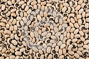 Black-eyed Beans Black background. Have a good aroma, creamy texture and distinctive flavor.