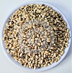 Black-eyed beans  in a white plate, cowpea