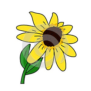 Black eyed susan flower illustration vector isolated