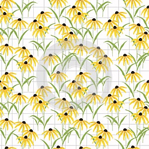 Black eyed susan flower seamless pattern vector