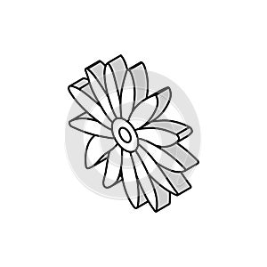 black eyed susan flower spring isometric icon vector illustration