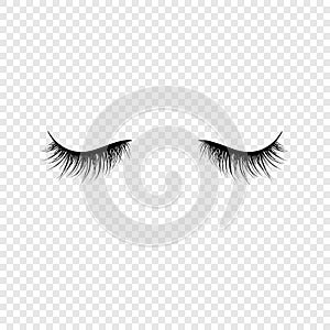 Black eyelashes. False eyelashes. Vector illustration isolated on transparent background
