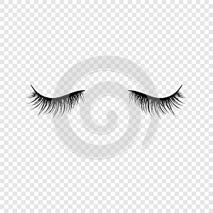Black eyelashes. False eyelashes. Vector illustration isolated on transparent background photo