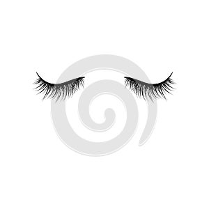 Black eyelashes isolated on white background. False eyelashes. Vector illustration photo