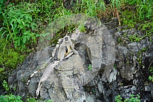 Black faced langur monkey sitting on roadside rocky wall. Monkey is sitting and watching