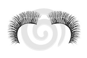 Black false eyelash isolated on white