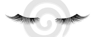 Black False eyelashes. Mascara single decorative element.