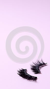 Black false long eye lashes, space for text