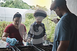 A Black farmer family prepares bio-fertilizer together by earthworm in the soil