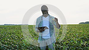 Black farmer on a soybean field, holding a tablet and checking the crop growth