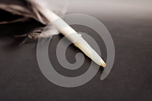 Black feather of crow on black background