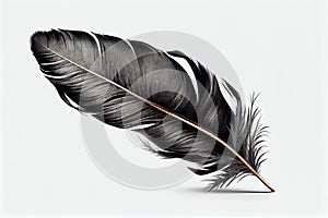 Black Feather Isolated, Swan Plume, Dark Gray Bird Feathers, Abstract Generative AI Illustration