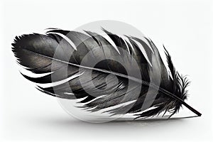 Black Feather Isolated, Swan Plume, Dark Gray Bird Feathers, Abstract Generative AI Illustration