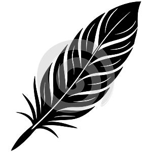 Black Feather Silhouette Vector Icon