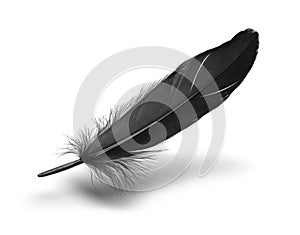 Black Feather