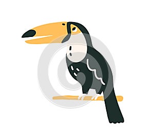 Black-feathered toucan with large yellow beak. Tropical Southern American tucan bird sitting on tree branch. Colored