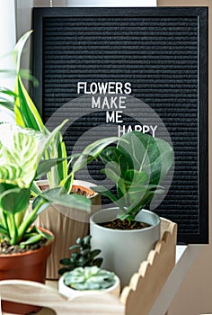Black felt Letterboard with title Flowers make me happy with green palm leaf on it