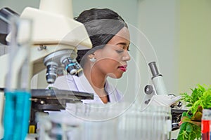 Black female scientist use microscope and test tube chemical ingredient to conduct research in laboratory,testing sample