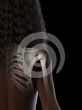 A black females shoulder joint