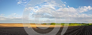 Black fertile soil on a sprinkled spring field. Landscape