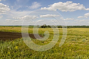 Black field with trees far away. Cultivated area. Agriculture. Bright blue sky and green grass
