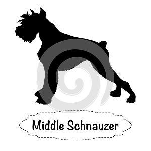 Black figure of dog profile middle schnauzer