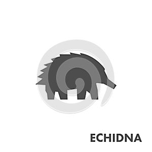 Black figure of echidna.